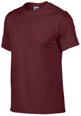 Dryblend Adult/Youth T-Shirt With GAA Logo-GILDAN